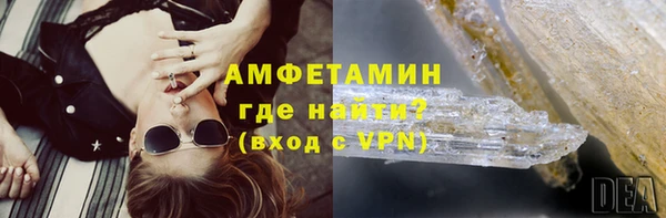 шишки Надым