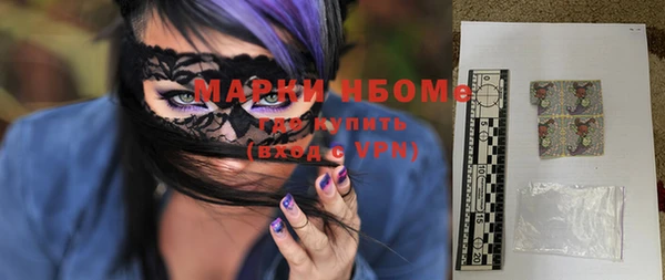 шишки Надым