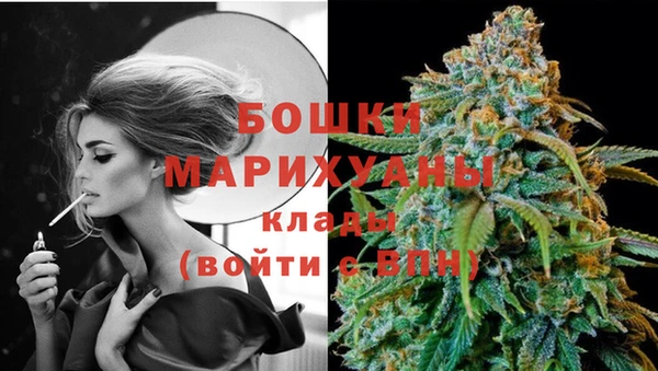 шишки Надым