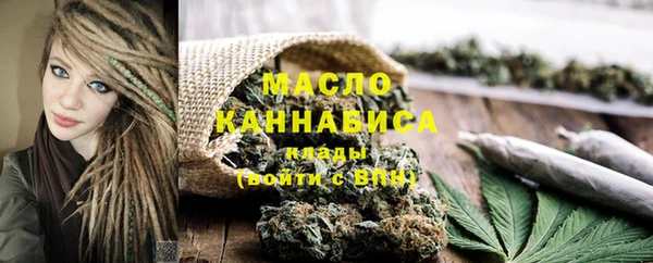 шишки Надым