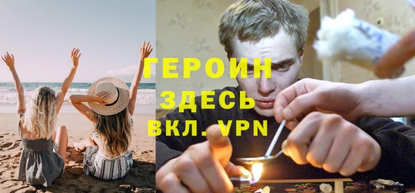 шишки Надым