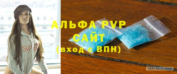 шишки Надым