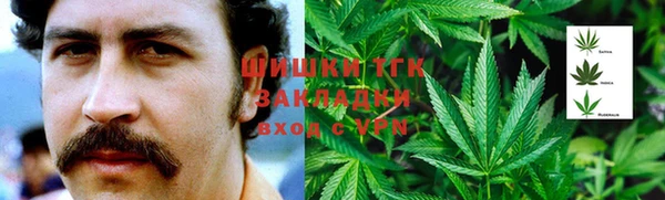 тгк Абаза