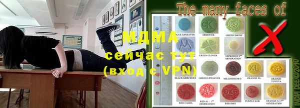 шишки Надым